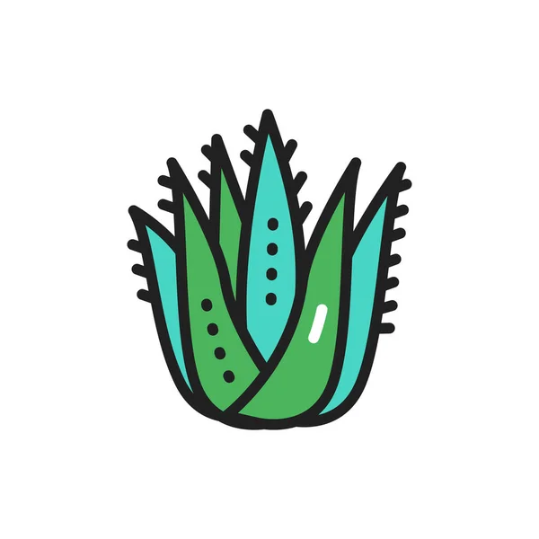 Ícone de linha de cor da planta Aloe. Ilustração vetorial — Vetor de Stock