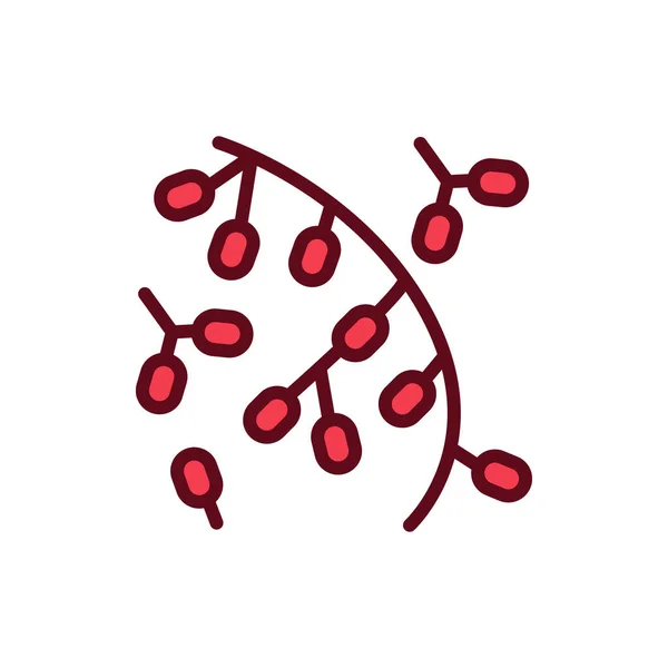 Bacterias rodomicrobio icono de la línea de color. Ilustración vectorial — Archivo Imágenes Vectoriales