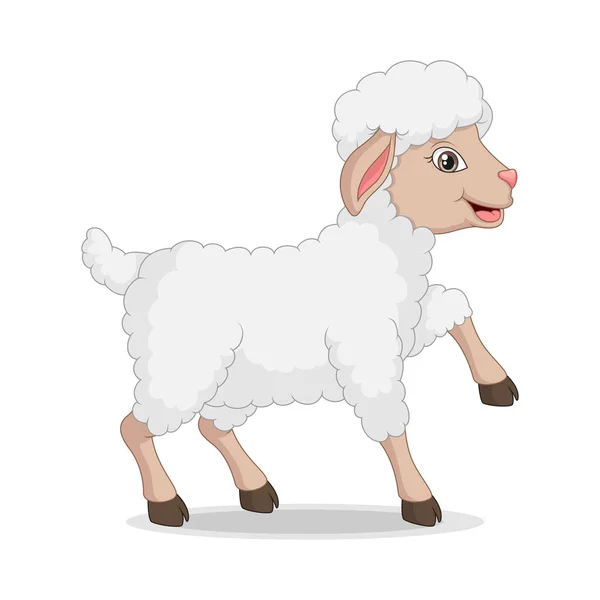 Vector Illustration Cute Baby Lamb Cartoon White Background — Stock Vector