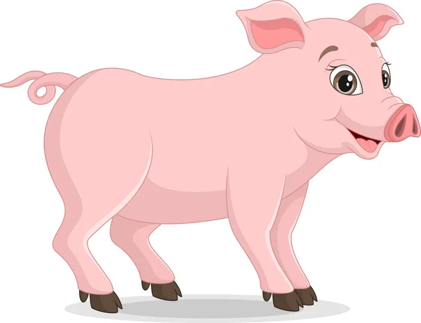 Vector Illustration Cute Pig Cartoon White Background — Stock Vector