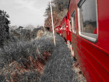 Sri Lanka 'da bir trenden dışarı bakıyorum..