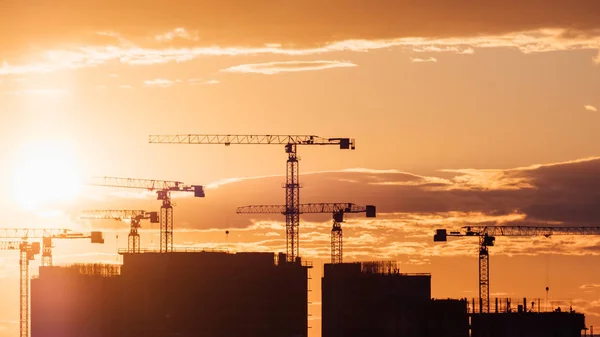 Crane and building silhouettes at sunrise. Abstract Industrial background with construction cranes silhouettes over amazing sunset sky