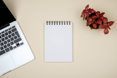 En az işyeri dizüstü bilgisayar ve renkli arka plan üzerinde boş not defteri. Üstten Görünüm. Düz yatıyordu