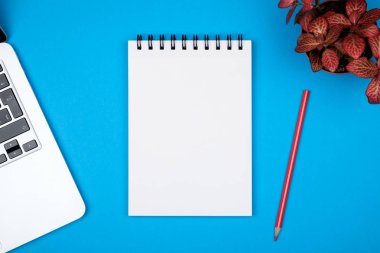 Bilgisayar, boş defter sayfası ve kırmızı bitki ile modern ofis resepsiyon masası. Kopya alanı ile Üstten Görünüm