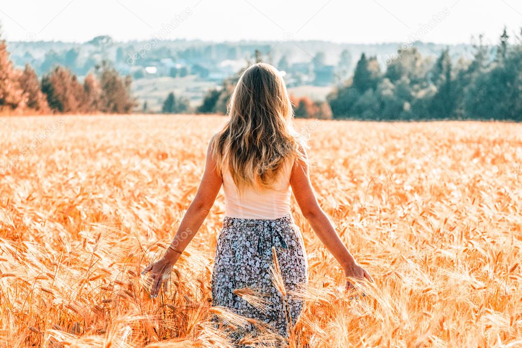 Portrait of a beautiful young woman in a dress walking through the wheat field