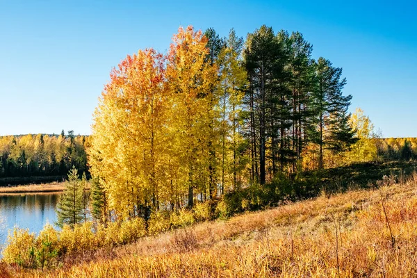 Bosque de otoño. Colorida mañana de otoño — Foto de Stock