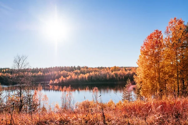 Bosque de otoño. Colorida mañana de otoño — Foto de Stock