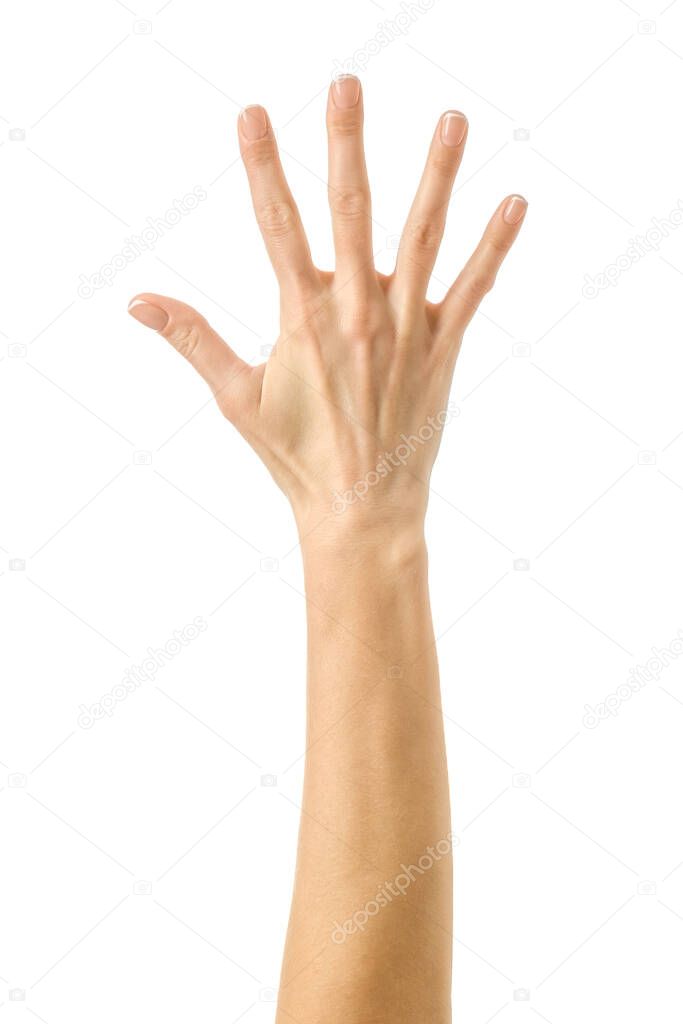 Number five. Woman hand with french manicure gesturing isolated on white background. Part of series