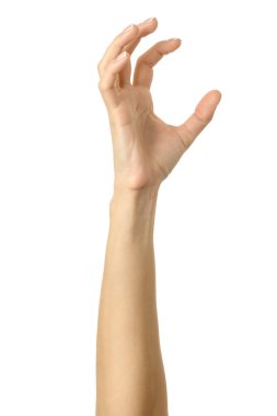 Çekiyor, tutuyor, uzanıyor ya da kaşınıyor. Beyaz arka planda izole edilmiş Fransız manikürlü kadın eli. Dizinin bir parçası