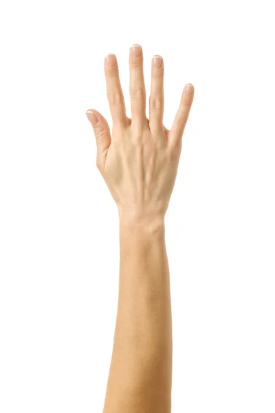 Поднято Достигнуто Голосование Руками Женская Рука Французским Маникюром Жестикулируя Изолированы — стоковое фото