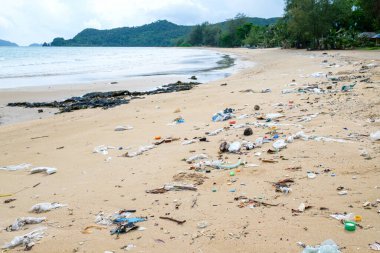 Plajda dökülen plastik çöpler. Çevre kirliliği ve ekolojik sorun kavramı