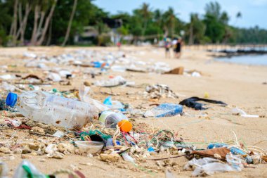 Plaj kirliliği. Plastik şişeler ve sahildeki diğer çöpler. Ekolojik sorun