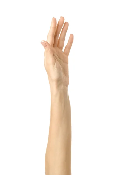 Höj Handen Röstning Eller Kvinna Hand Med Fransk Manikyr Gest — Stockfoto