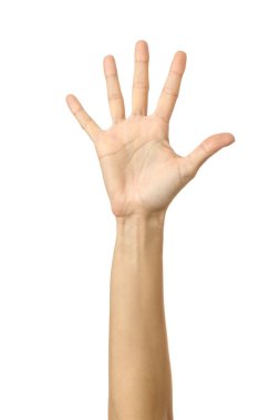 Kaldırılmış el oylaması ya da ulaşma. El kol hareketi yapan bir kadın beyaz üzerine izole edilmiş
