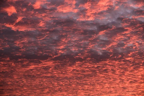 Nuvole Drammatiche Strutturate Sul Cielo Insanguinato — Foto Stock