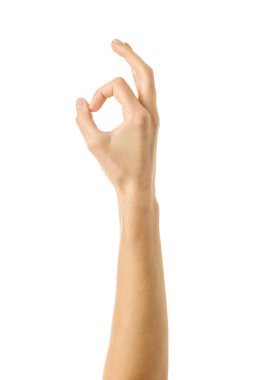 Tamam imzala. Beyaz arka planda izole edilmiş Fransız manikürlü kadın eli. Dizinin bir parçası