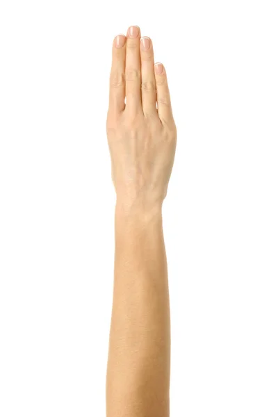四个手指交叉在一起 女人的手与法国修指甲的姿势隔离在白色背景 系列的一部分 — 图库照片