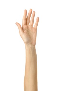 Kaldırılmış el oylaması ya da ulaşma. Beyaz arka planda izole edilmiş Fransız manikürlü kadın eli. Dizinin bir parçası