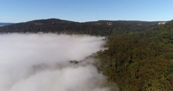 Dikke Wolken Mist Boven Kangoeroe Vallei Zachte Warme Ochtend Licht — Stockvideo