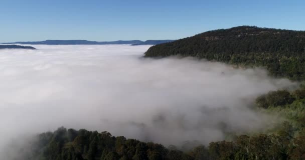 Hill Sides Kangaroo Valley Sandstone Mountain Plateau Morning Light Thick — Stock Video