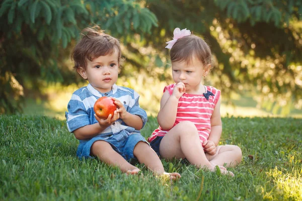 两个白人白种人可爱可爱有趣的孩子们坐在一起分享苹果食品组肖像 羡慕友情的童年概念 最好的朋友永远的男孩和女孩 — 图库照片