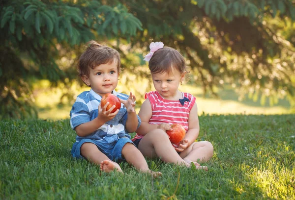 Retrato Grupo Dos Niños Blancos Caucásicos Adorables Adorables Niños Divertidos —  Fotos de Stock