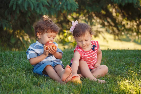 两个白人白种人可爱可爱有趣的孩子们坐在一起分享苹果食品组肖像 友谊童年的概念 最好的朋友永远的男孩和女孩 — 图库照片
