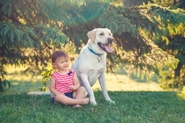 Портрет Симпатичной Симпатичной Маленькой Кавказки Европейской Девочки Сидящей Собакой Парке — стоковое фото
