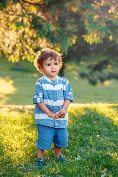 可爱可爱的小白种黑人男孩的蓝色衬衫和短裤站在田野草地外 快乐的沉思的梦想孩子在公园里的天空中漫步仰望日落 — 图库照片