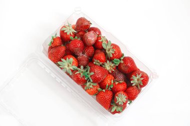 Çürük çilek beyaz büyük kalıp plastik kutu kapsayıcısına yerleştirilir ile görüntüsünü kapatmak makro vurdu.