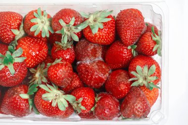 Çürük çilek beyaz büyük kalıp Plastik şeffaf kutu konteyner ile görüntü Closeup makro.