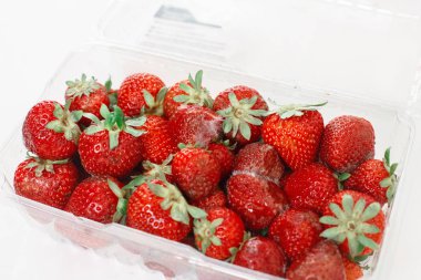 Çürük çilek beyaz büyük kalıp Plastik şeffaf kutu konteyner ile görüntü Closeup makro.