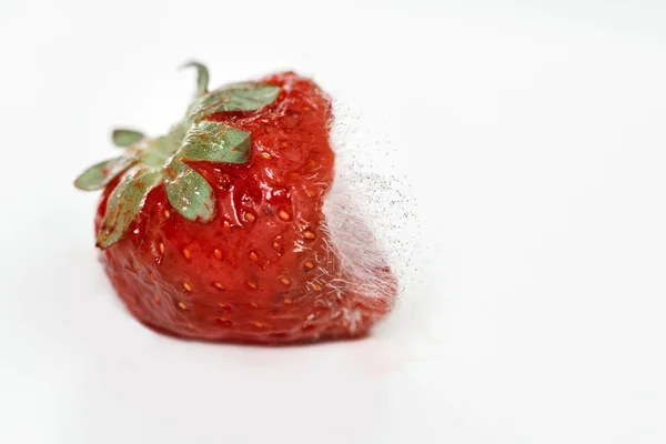 Nahaufnahme Makroaufnahme Bild Der Faulen Erdbeere Mit Großen Schimmel Isoliert — Stockfoto
