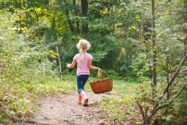 Sevimli sevimli beyaz beyaz sarışın okul öncesi küçük kız malzeme çekme taze yenilebilir mantar hasır sepet içinde. Sonbahar sonbahar etkinlik hobi kavramı.