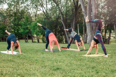 Grup on sunset Park dışında yoga yaparken birçok Kafkas insan. Germe, egzersiz açık havada gerçekleştirme kadınlar. Sağlıklı yaşam tarzı modern aktivite. Spor dersi eğitmen.
