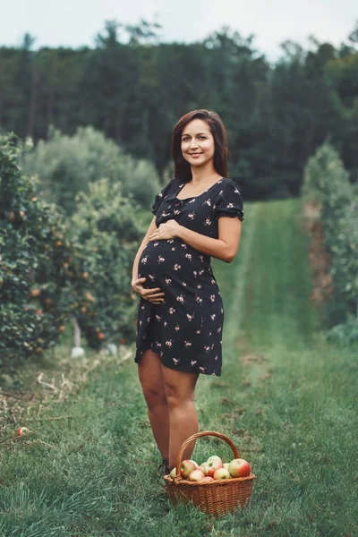 幸せな健康な妊娠 枝編み細工品バスケット アップル農場で妊娠中の若いブルネット白人女性の肖像画 田舎で素朴なスタイルでドレスで美しい期待してママ女性 — ストック写真