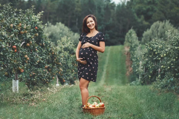 Happy Healthy Pregnancy Portrait Pregnant Young Brunette Caucasian Woman Apple — Stock Photo, Image