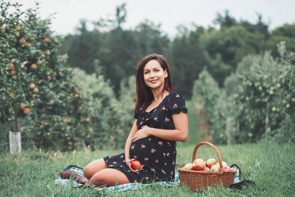 幸せな健康な妊娠 アップルが保持している草に座って妊娠中若いブルネットの白人女性の肖像画 素朴なスタイルの田舎で農場で美しい期待してママ女性 — ストック写真