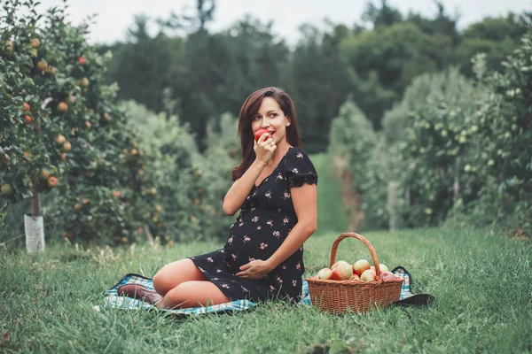 幸せな健康な妊娠 草食用リンゴの上に座って妊娠中の若いブルネット白人の女性の肖像画 素朴なスタイルの田舎で農場で美しい期待してママ女性 — ストック写真