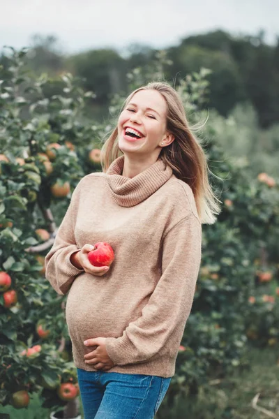Happy healthy pregnancy. Portrait of laughing pregnant young blonde Caucasian woman on apple farm with wicker basket. Beautiful expecting mom lady in sweater and jeans eating fruit