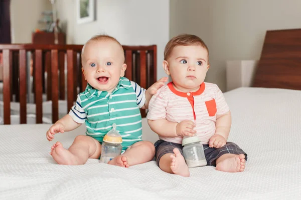 Gruppenporträt Von Zwei Weißen Kaukasischen Niedlich Entzückend Lustige Baby Jungen — Stockfoto