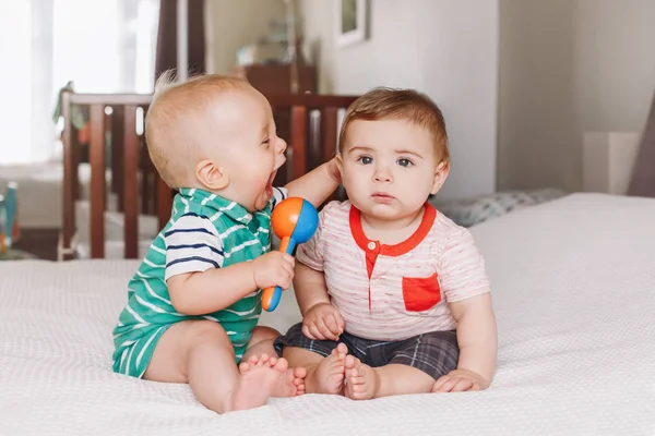 Gruppenporträt Von Zwei Weißen Kaukasischen Niedlichen Entzückenden Lustigen Jungen Die — Stockfoto