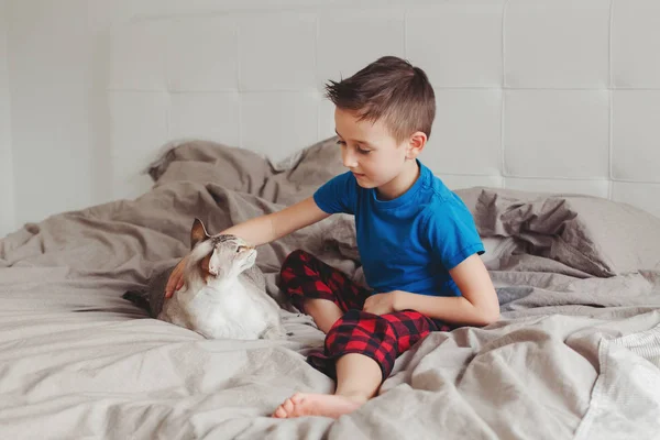 Portrait Caucasian Preschooler Boy Sitting Bed Bedroom Home Petting Stroking — Stock Photo, Image