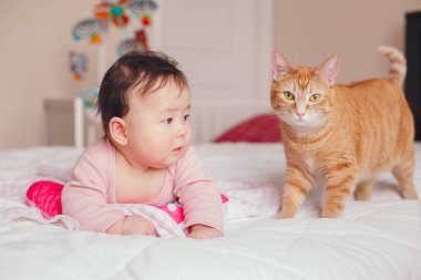 Sevimli sevimli Asya karışık yarış bebek kız dört aylık kedi ile yatak odası yatakta yatan portresi. Çocuk ile ev evcil hayvan evde beslenen hayvan ilişkisi. Çocukluk komik samimi an 