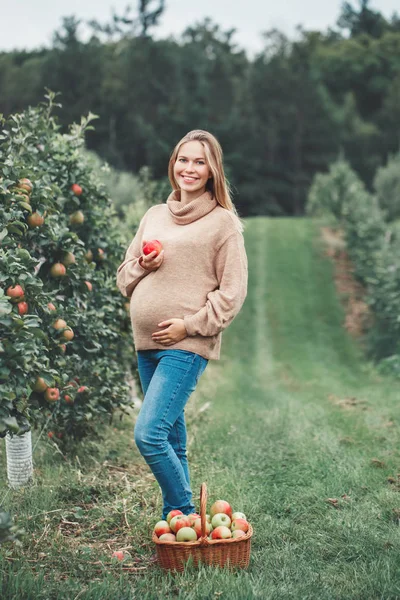 Glückliche Gesunde Schwangerschaft Porträt Einer Schwangeren Jungen Blonden Kaukasierin Auf — Stockfoto