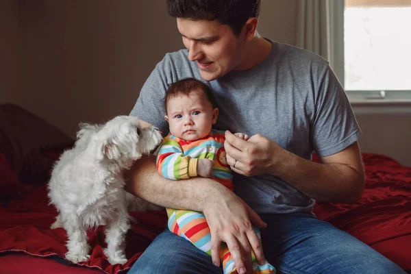 若い白人の父親は新生児を抱えていて 自宅の寝室で小さな犬ペットと話して遊んでいました 本物のライフスタイル面白い率直な瞬間 シングルダッドファミリーライフのコンセプト — ストック写真