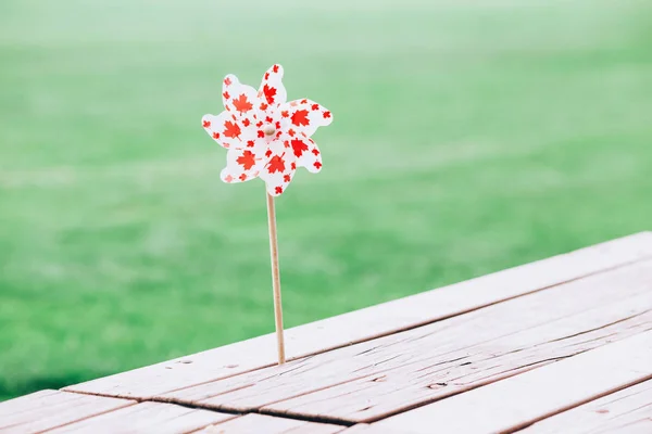 Windmill Whizzer Red Maple Leaves White Background Stuck Wooden Table — Stock Photo, Image