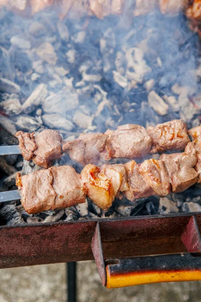 Närbild Makro Rostad Marinerad Kött Grill Shish Kebab Shashlik Stål — Stockfoto