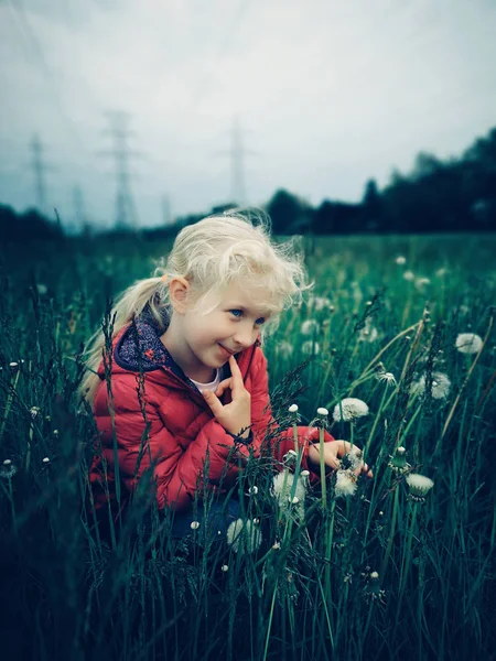 Potret Gadis Kaukasia Manis Manis Duduk Rumput Dengan Dandelion Padang — Stok Foto