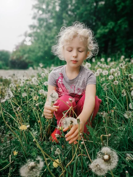 Портрет Cute Чарівні Кавказька Дівчина Сидить Траві Dandelions Луг Прийняття — стокове фото